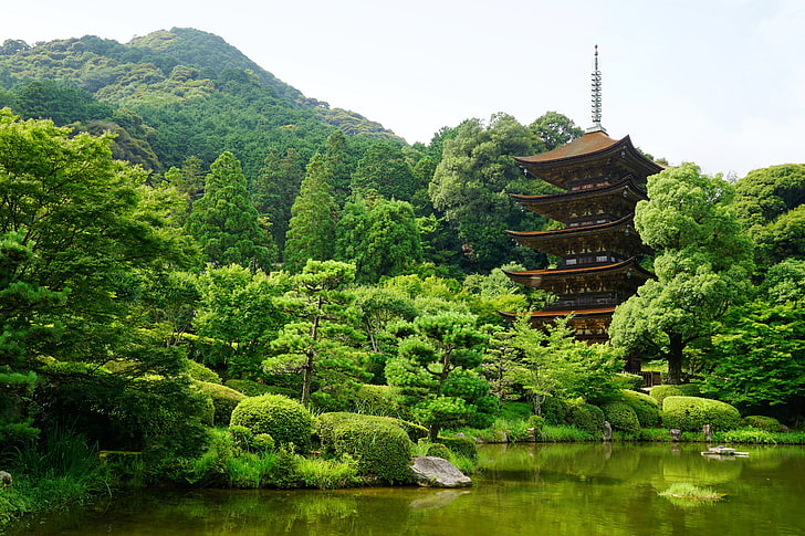 brown pagoda, japan, yamaguchi, pond, trees, asia, china - East Asia