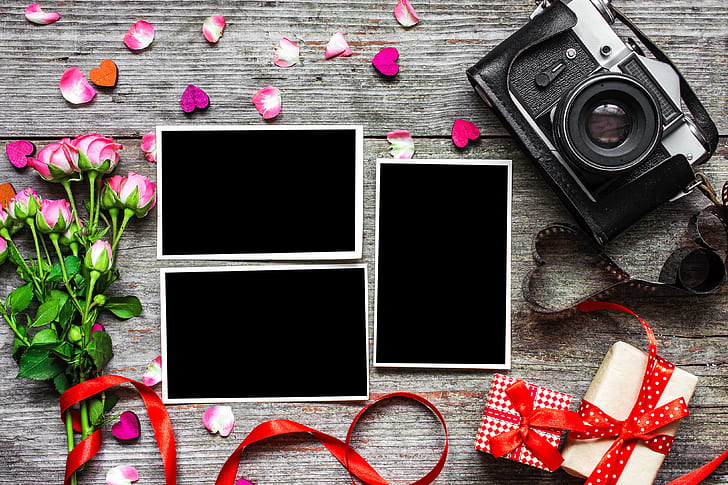 flowers, photo, roses, bouquet, camera, frame, petals, gifts, HD wallpaper