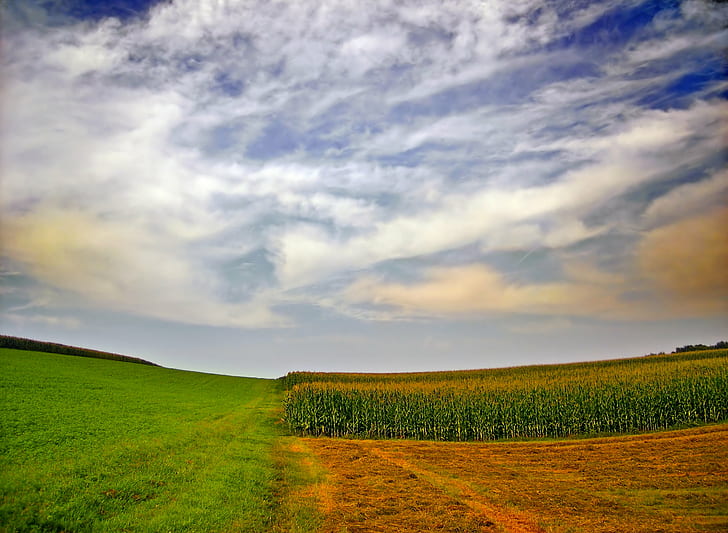 landscape photography of corn field, Partitioned, Pennsylvania, HD wallpaper