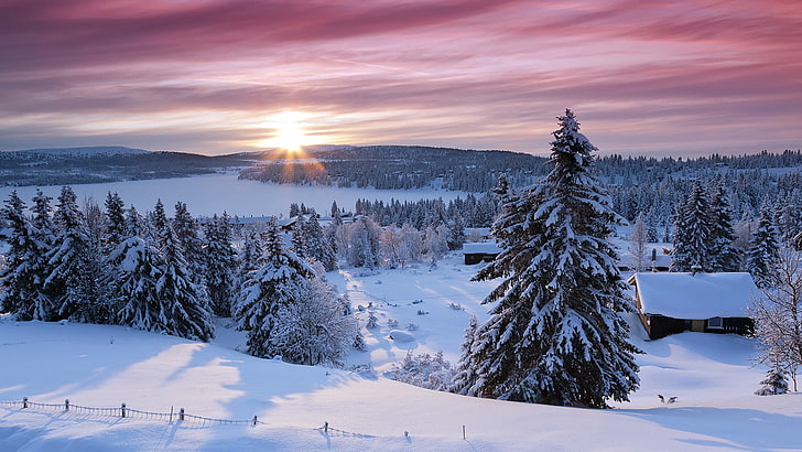 winter, snow, landscape, nature, pine trees, sunrise, hills, HD wallpaper