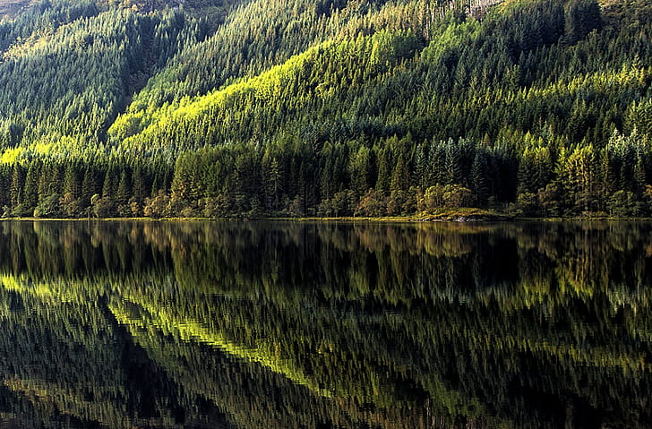 Reflections on Loch Chon, Europe, United Kingdom, Nature, Beautiful
