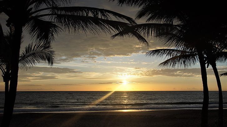 dominican republic, sunrise, palms, sky, HD wallpaper