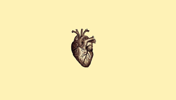 HD wallpaper: human heart illustration, digital art, minimalism, simple,  simple background | Wallpaper Flare