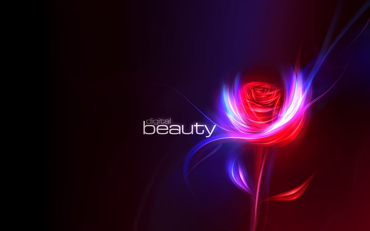 digital beauty wallpaper, rose, digital art, flowers, no people