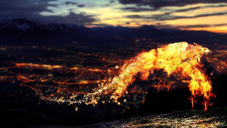 phoenix, fire, sky, nature, sunset, burning, smoke - physical structure, HD wallpaper