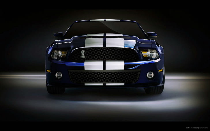  Fondo de pantalla HD Shelby GT5, Ford Mustang azul y blanco, autos