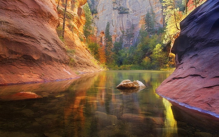 nature, landscape, colorful, river, Arizona, trees, fall, rock, HD wallpaper