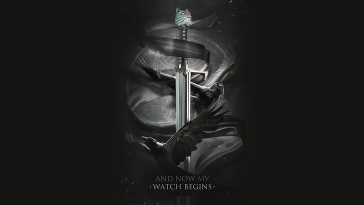 movie poster, Game of Thrones, sword, birds, raven, one person