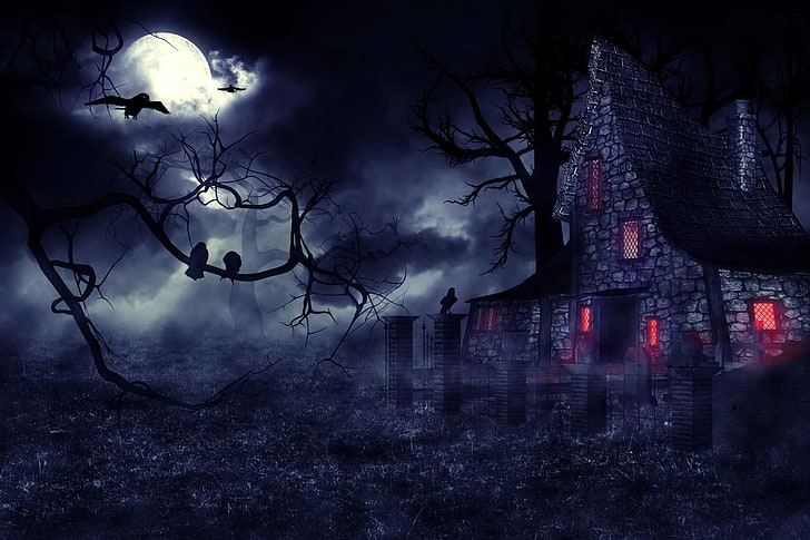 Dark, House, Creepy, Haunted House, Moon, Night, Raven, Tree, HD wallpaper