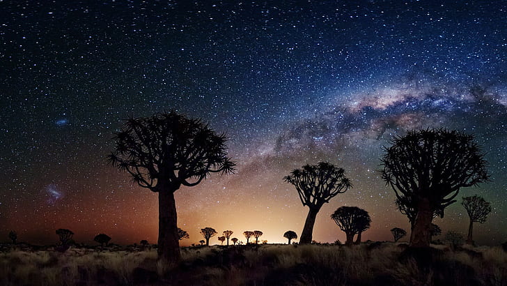 Trees Galaxy Milky Way Stars HD, trees under milkyway view on sky during night time, HD wallpaper