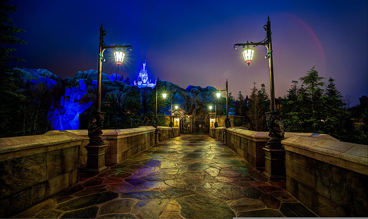 black outdoor lamps, night, castle, FL, lights, USA, Disneyland