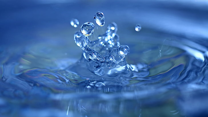 water jew, shallow focus photography of water droplets, nature, HD wallpaper