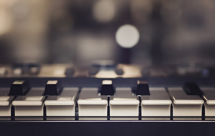 black and white piano, music, keys, musical Instrument, piano Key, HD wallpaper