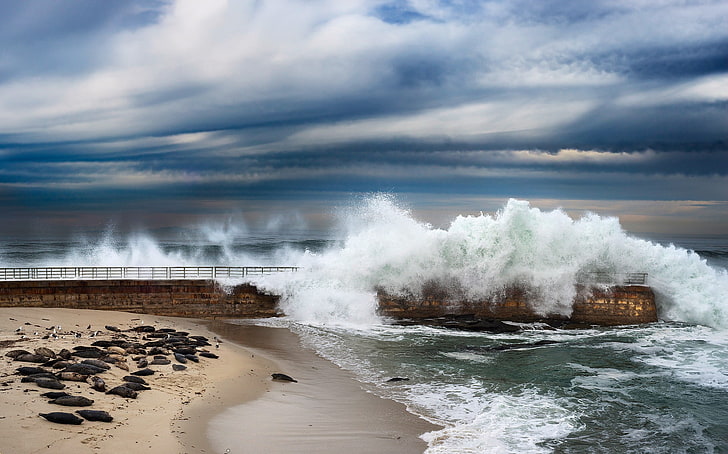 sea, waves, coast, California, cloud - sky, motion, water, power in nature, HD wallpaper