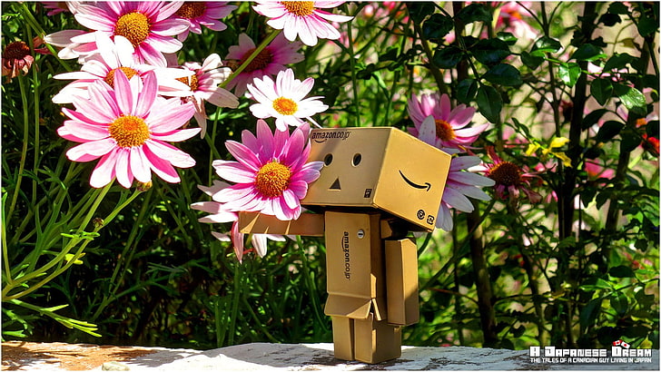 Danbo cardboard toy, Amazon, cherry blossom, spring, Japan, Japanese, HD wallpaper