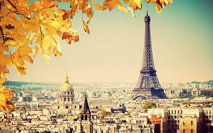 Paris in the fall, eiffel tower, world, france, autumn