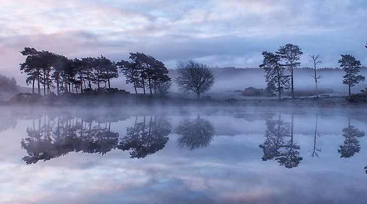 Reflections in the Mist, Europe, United Kingdom, Nature, Beautiful