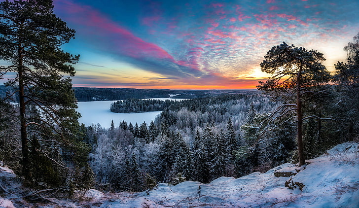 green pine trees, winter, beauty, frost, Finland, Hämeenlinna