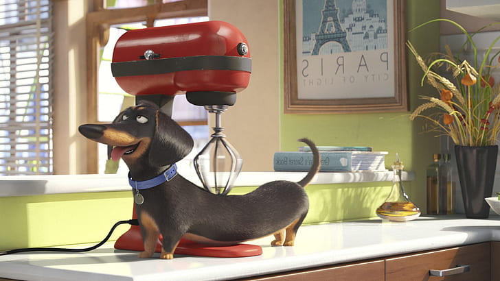 the secret life of pets 4k download pics for pc