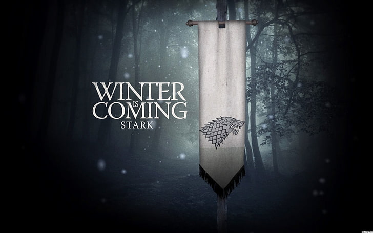 Winter is Coming Stark wallpaper, Game of Thrones, A Song of Ice and Fire, HD wallpaper