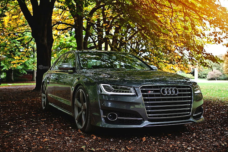Audi, Audi S8, car, HD wallpaper