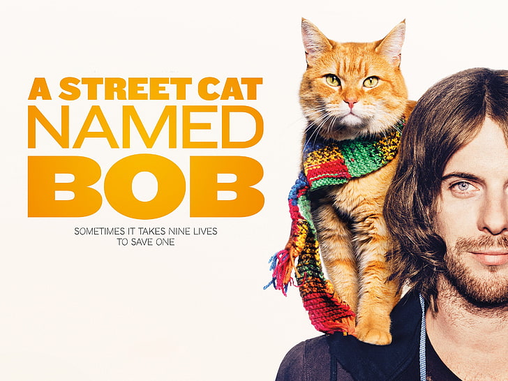 A Street Cat Named Bob wallpaper, men, movies, Film posters, domestic Cat, HD wallpaper