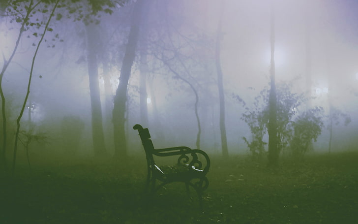 horror, plant, fog, tree, nature, land, grass, day, seat, tranquility