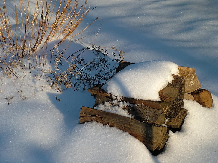 snow on brown firewood, fire wood, winter, nature, tree, cold - Temperature