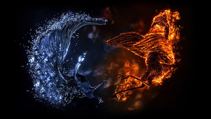water and fire illustration, digital art, ice, birds, motion