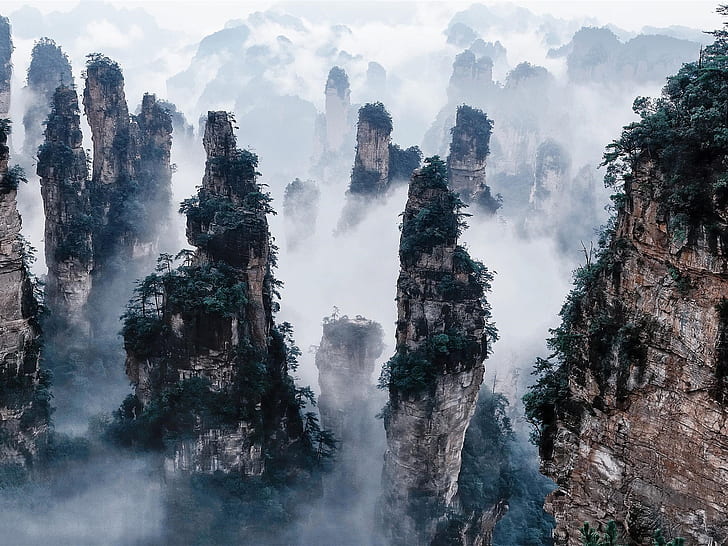 Zhangjiajie National Forest Park, China, cliffs, mountains, fog, HD wallpaper