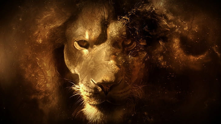 lion, fantasy art, HD wallpaper