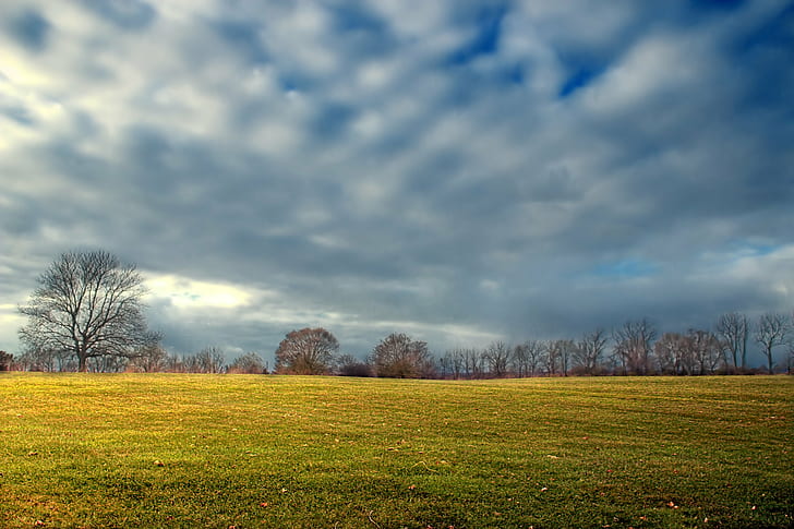 bare trees under cloudy sky, Field, Pennsylvania, Northampton County, HD wallpaper