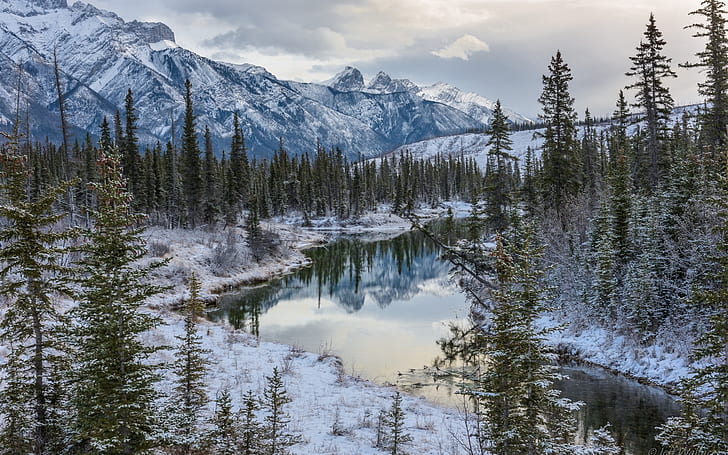 Canadian Rockies, Jasper National Park, Alberta, Canada, winter, river, trees, HD wallpaper