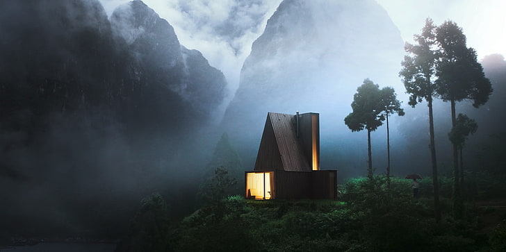 brown house, cabin, forest, wood, night, mountains, lights, mist