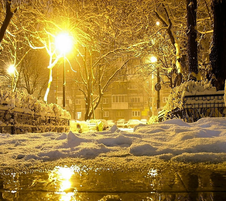 winter, city, night