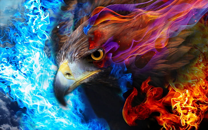 eagle, fire, sky