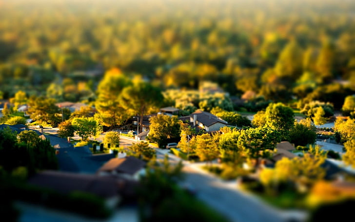 green leafed trees, tilt shift, nature, outdoors, agriculture, HD wallpaper
