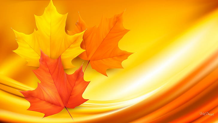 Autumn Wave, three leaves, orange, fall, maple, bright, swirl, HD wallpaper