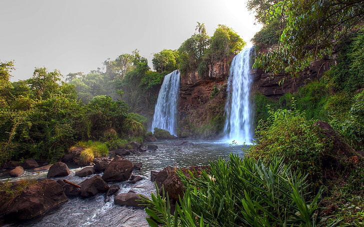 nature, jungle, waterfall, Iguazu Falls, Brasil, plant, tree, HD wallpaper