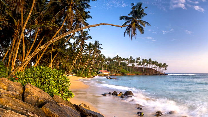 Mirissa Beach South Coast Southern Province Sri Lanka Palm Tree Sandy Beach Ocean Waves Wallpaper Hd 1920×1080