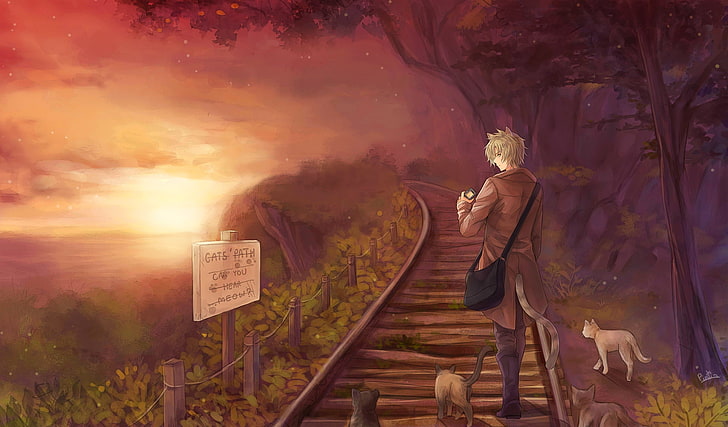 anime boy, cats, sunset, scenic, animal ears, cat boy, real people