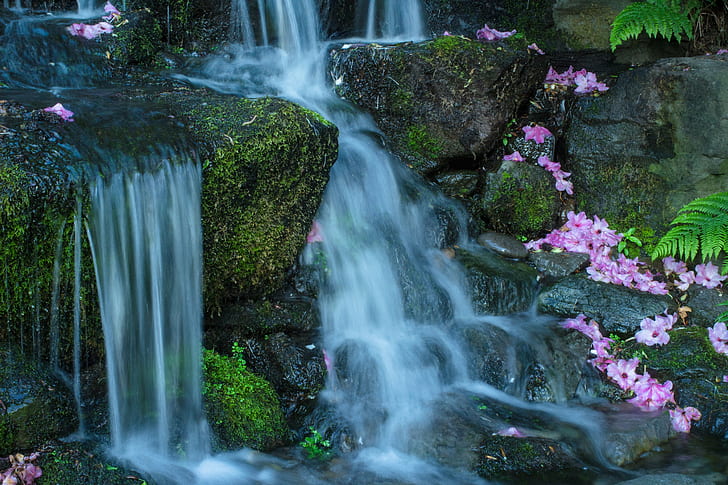 waterfalls with falling pink flowers, crystal springs, crystal springs, HD wallpaper