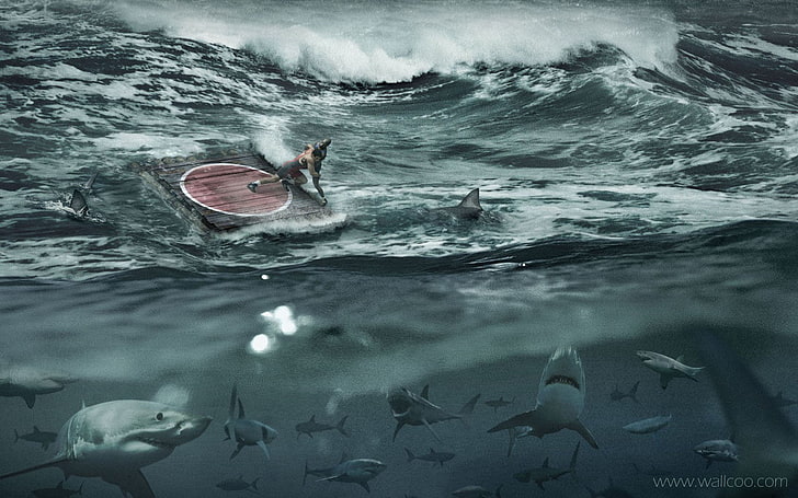 Platinum Conception s, Photoshop, shark, water, sea, animals in the wild, HD wallpaper
