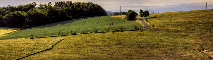 green grass field near green leaf trees under white clouds, landscape