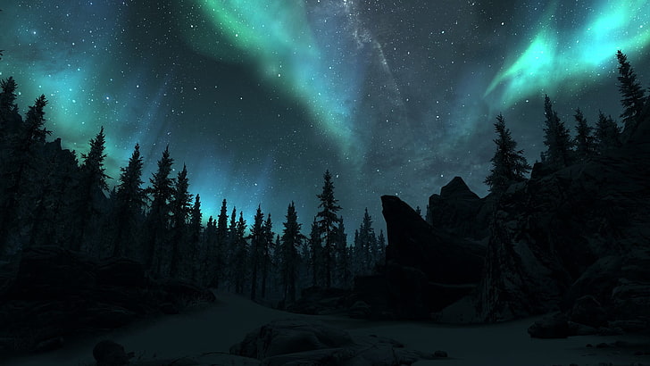 trees, silhouette of pine trees with northern lights, The Elder Scrolls V: Skyrim, HD wallpaper