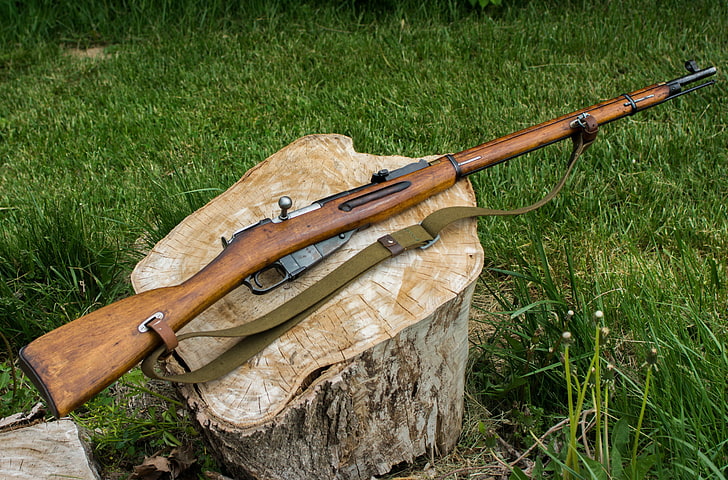 brown bolt-action rifle, weapons, stump, Mosin, gun, hunting