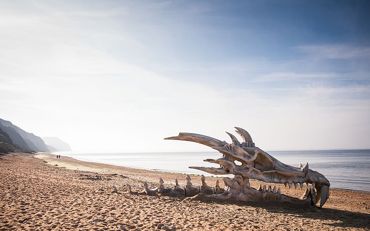 dragon skull on seashore digital wallpaper, beach, sky, land