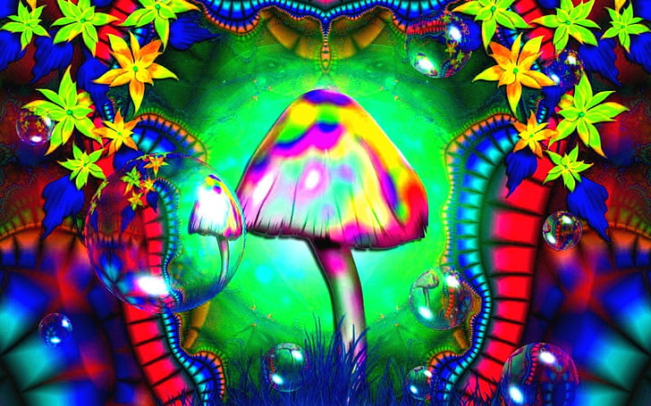 mushroom, colorful, psychedelic, LSD, multi colored, decoration, HD wallpaper