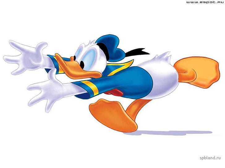 Hd Wallpaper Cartoons Donald Duck 1024x768 Animals Ducks Hd Art Wallpaper Flare
