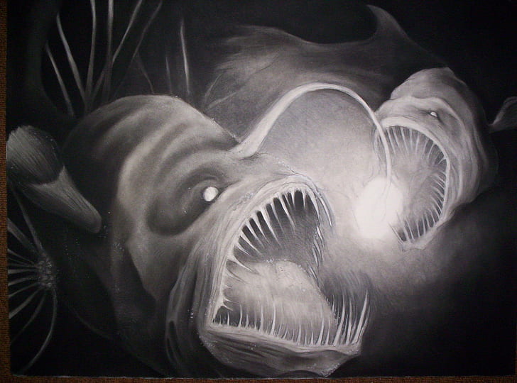 anglerfish, HD wallpaper